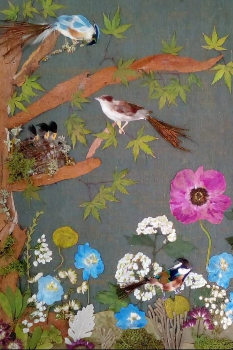 Composiciones Naturales